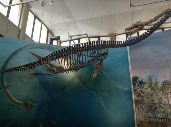 Burke Museum